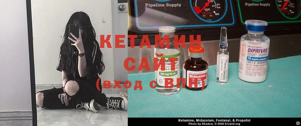 прущие грибы Бронницы