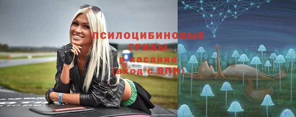ПСИЛОЦИБИНОВЫЕ ГРИБЫ Волосово