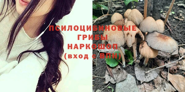 индика Володарск