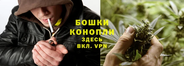 индика Володарск