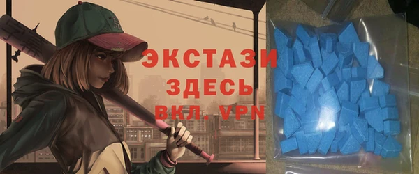 индика Володарск