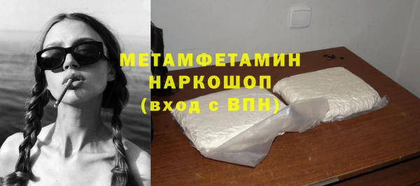 индика Володарск