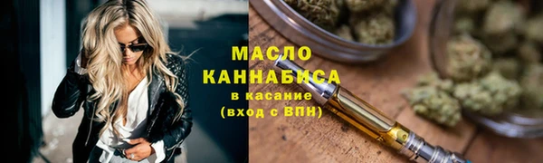 индика Володарск