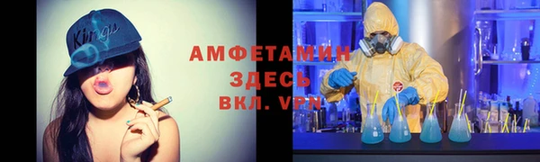 молекула духа Бородино