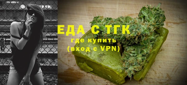 индика Володарск