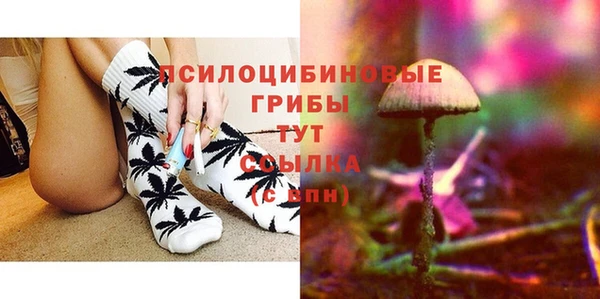 молекула духа Бородино