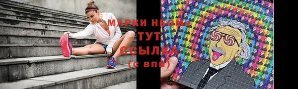прущие грибы Бронницы