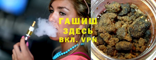 индика Володарск
