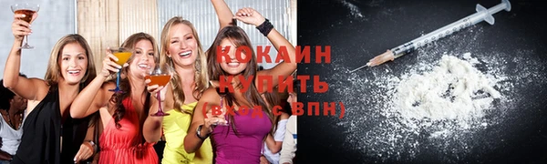индика Володарск